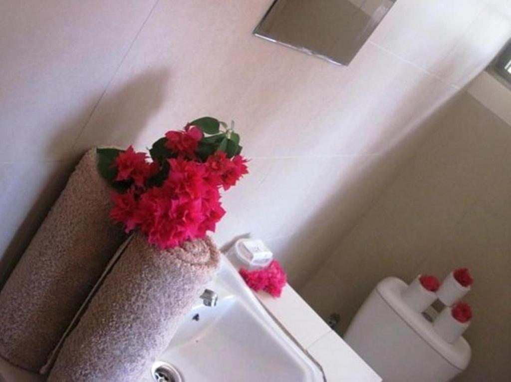 Kilima Kidogo Apartment