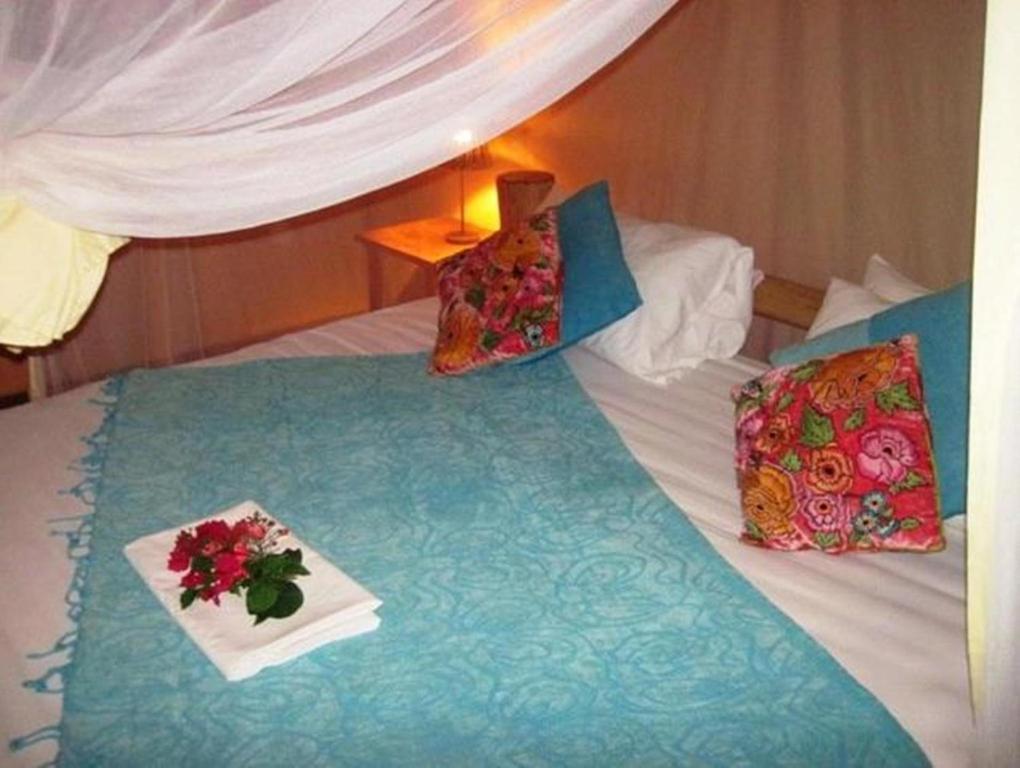 Apartment Kilima Kidogo Paje