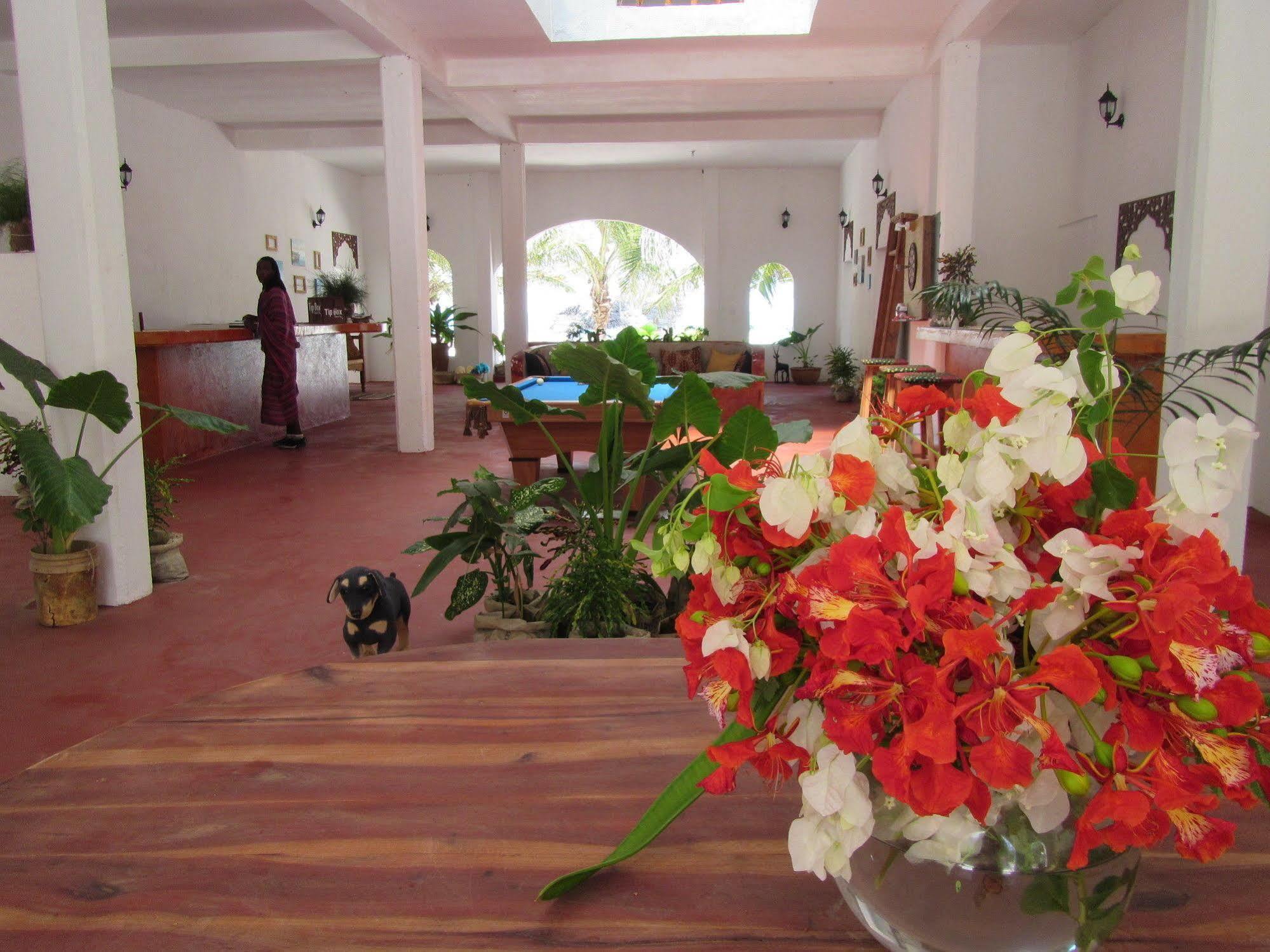 Apartment Kilima Kidogo Paje