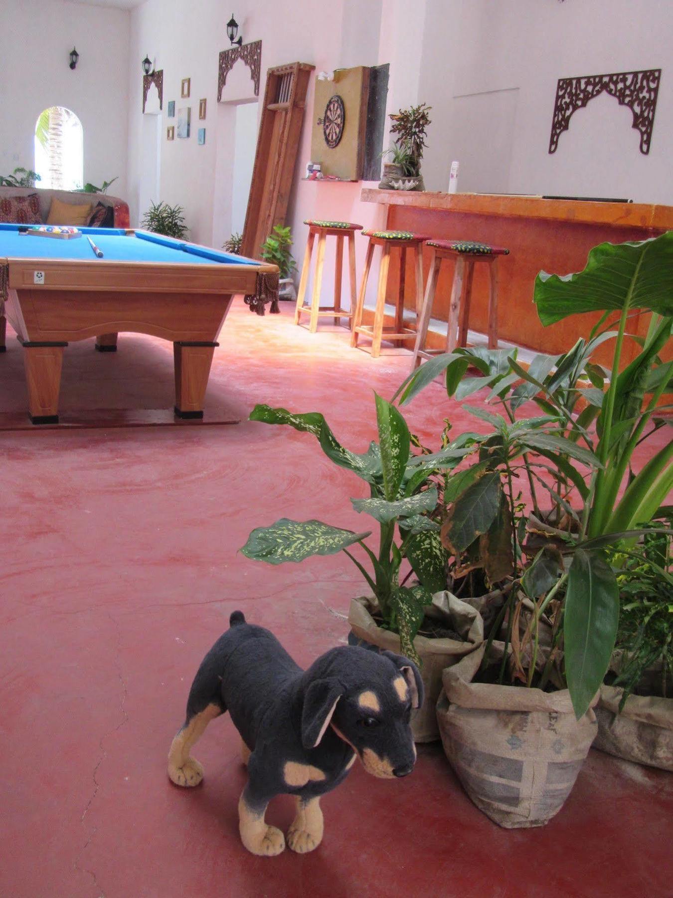 Apartment Kilima Kidogo *